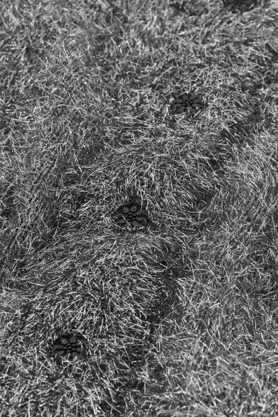 Fabienne Chapot  Kitty Cardigan